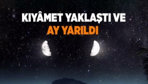 Ayın İkiye Bölünmesi