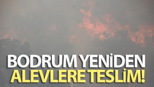 Bodrum yeniden alevlere teslim oldu