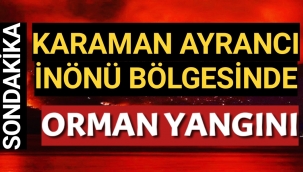 Karaman Ayrancı İnönü Mevkisinde Orman Yangını