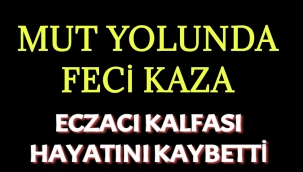 Mut Yolunda Feci Kaza Karaman'lı Eczacı Kalfası Hayatını Kaybetti