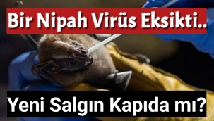 Bir Nipah Virüs Eksikti...12 Yaşındaki Çocuk Nipah Virüsünden Öldü 20 Kişi Risk Altında