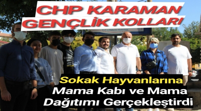 CHP Karaman Gençlik Kolları sokak hayvanlarına mama kabı ve mama dağıtımı gerçekleştirdi.