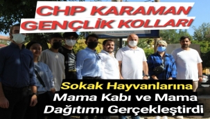 CHP Karaman Gençlik Kolları sokak hayvanlarına mama kabı ve mama dağıtımı gerçekleştirdi.