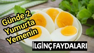 Günde 2 yumurta yemenin ilginç faydaları