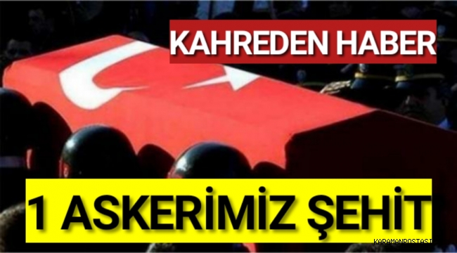 MSB acı haberi duyurdu: 1 askerimiz şehit oldu