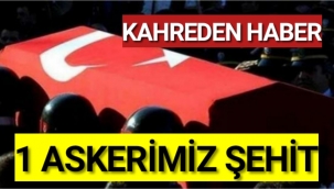 MSB acı haberi duyurdu: 1 askerimiz şehit oldu