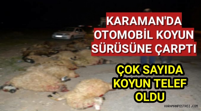 Otomobil Koyun Sürüsüne Çarptı Çok Sayıda Koyun Telef Oldu