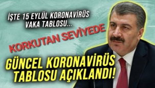 VAKA ve ÖLÜM SAYISI KORKUTUCU SEVİYEDE