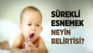 Esneme Neden Olur?