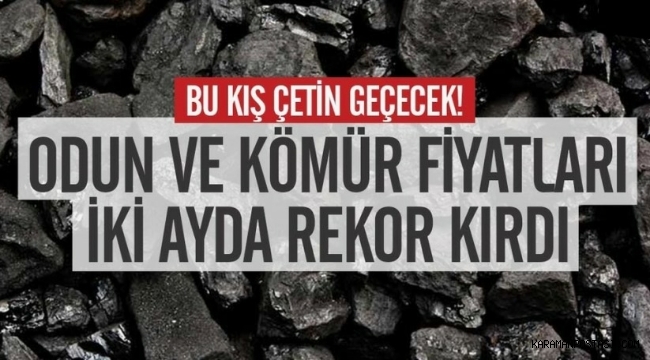 Bu kış çetin geçecek! Odun ve kömür fiyatları iki ayda rekor kırdı