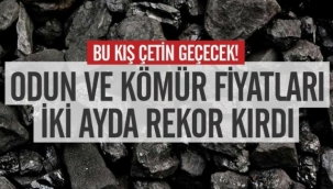Bu kış çetin geçecek! Odun ve kömür fiyatları iki ayda rekor kırdı