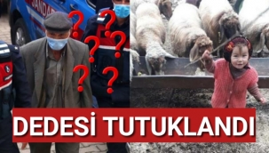 Dünyalar Güzeli Müslüme'nin Dedesi Tutuklandı