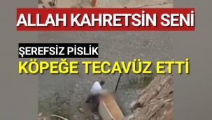 Rezillik....Köpeğe tecavüz etti!