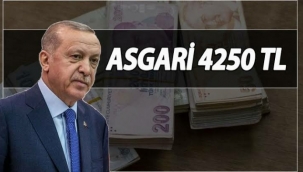 Asgari Ücret 4250 TL Oldu