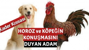 EY İNSAN SEN HİÇ İBRET ALMAZ MISIN?