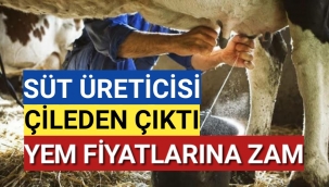 Süt üreticisi zamma 3 gün sevinebildi. Yeme gelen zamla şok oldu!