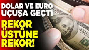 Türk Lirası erimeye devam ediyor