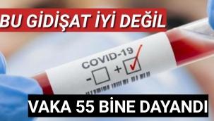 Bu Gidişat Nereye Vaka 55Bine Dayandı