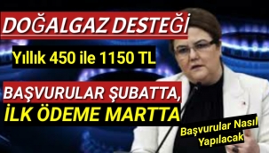 Doğalgaz Desteği Şubatta Başvuru Martta Ödeme