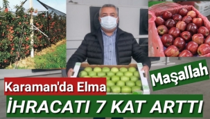 KARAMAN da ELMA İHRACATI 7 KAT ARTTI