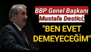 DESTİCİ
