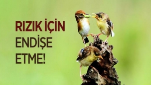 Rızkı Kim Verir Kim Alır...