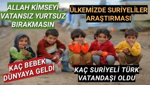 Ülkemizde Kaç Suriyeli Yaşıyor,Kaç Bebek Dünyaya Geldi