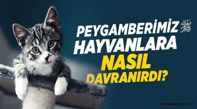 “Allah’tan başka yardımcısı olmayanlara zulmedenler hakkında Allah Teâlâ’nın gazabı pek şiddetli olacaktır.”