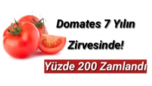 Domates fiyatı 7 yılın zirvesinde! Yüzde 200 zamlandı
