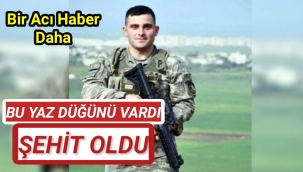 Bu yaz düğünü vardı! Uzman Çavuş İslam Sancak Pençe-Kilit operasyonunda çatışmada şehit oldu