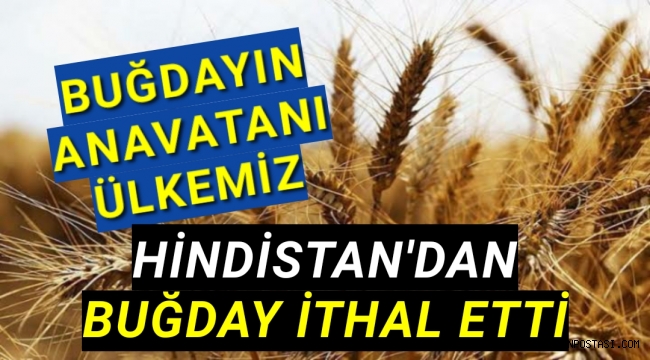 Türkiye Hindistandan Buğday Satın Aldı
