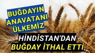 Türkiye Hindistandan Buğday Satın Aldı