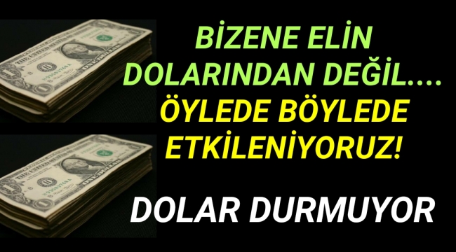 Yükseliş sürüyor: Dolar 16 TL sınırında