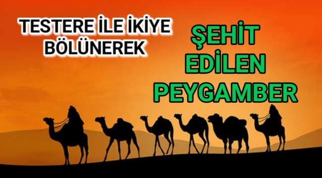 Kavmi tarafından zulme uğrayan binbir çeşit çile ve ızdıraba rağmen salih bir Peygamber ...