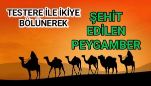 Kavmi tarafından zulme uğrayan binbir çeşit çile ve ızdıraba rağmen salih bir Peygamber ...