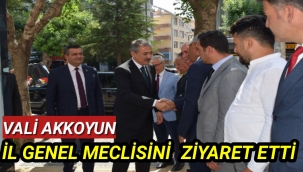 VALİ AKKOYUN İL GENEL MECLİSİNDE