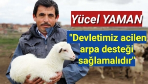 Yücel YAMAN