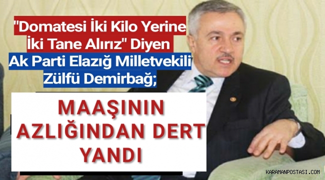 Ak Parti Elazığ Milletvekili Zülfü Demirbağ Milletvekili
