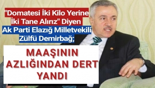 Ak Parti Elazığ Milletvekili Zülfü Demirbağ Milletvekili