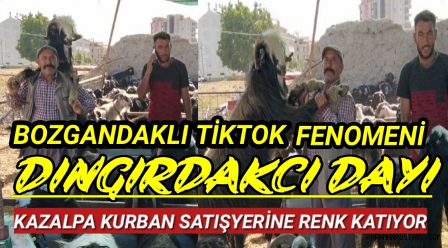 Bayram Havasını Renklendiren Fenomen Kazalpa Kurban Satış Yerinde Kaşşıkları Bir Bir Kırıyor