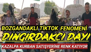 Bayram Havasını Renklendiren Fenomen Kazalpa Kurban Satış Yerinde Kaşşıkları Bir Bir Kırıyor