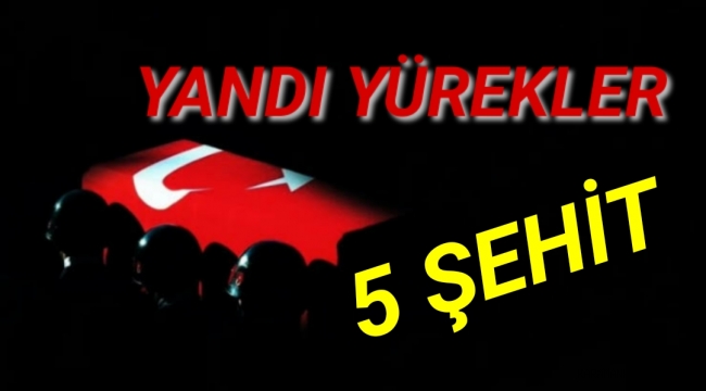 Pençe-Yıldırım Harekatı’nda 5 şehit