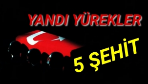 Pençe-Yıldırım Harekatı’nda 5 şehit