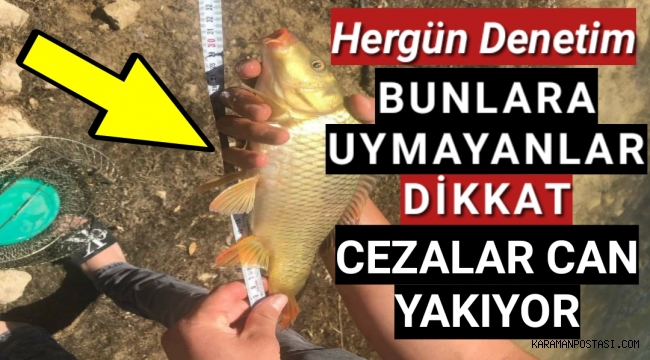 Sazan Avcıları Dikkat! Karaman Tarım İl Müdürü Hergün Denetimde