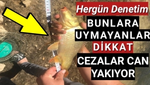 Sazan Avcıları Dikkat! Karaman Tarım İl Müdürü Hergün Denetimde