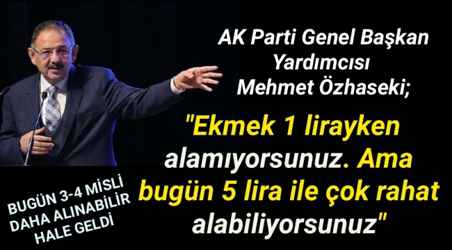 AK Partili Mehmet Özhaseki: