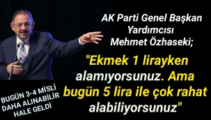 AK Partili Mehmet Özhaseki: 