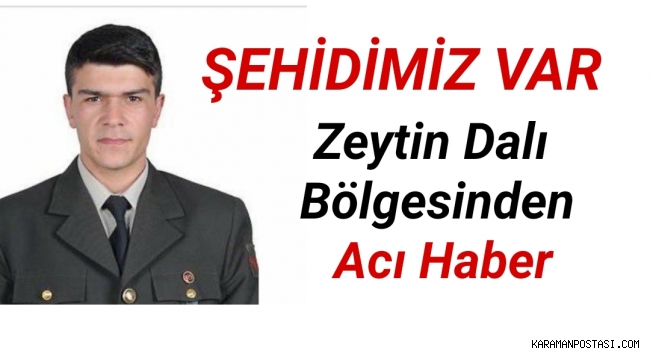 Son dakika! Zeytin Dalı Bölgesinden Acı Haber