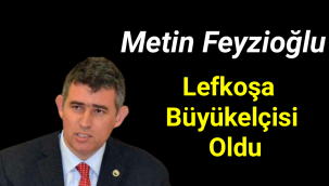 Metin Feyzioğlu, Lefkoşa Büyükelçisi oldu