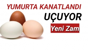 Yumurtanın Tanesi 5 Liraya Dayandı